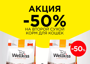 Акция 2